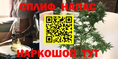 ECSTASY Аргун