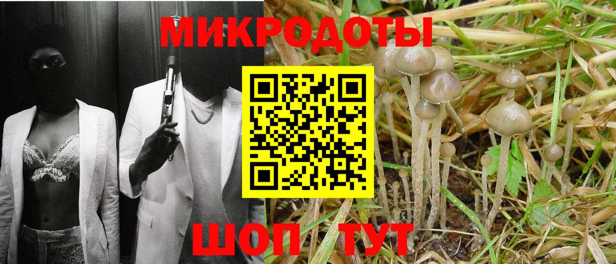 Галлюциногенные грибы Psilocybine cubensis Апрелевка